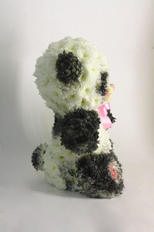 Панда из живых цветов - Оригинальный подарок