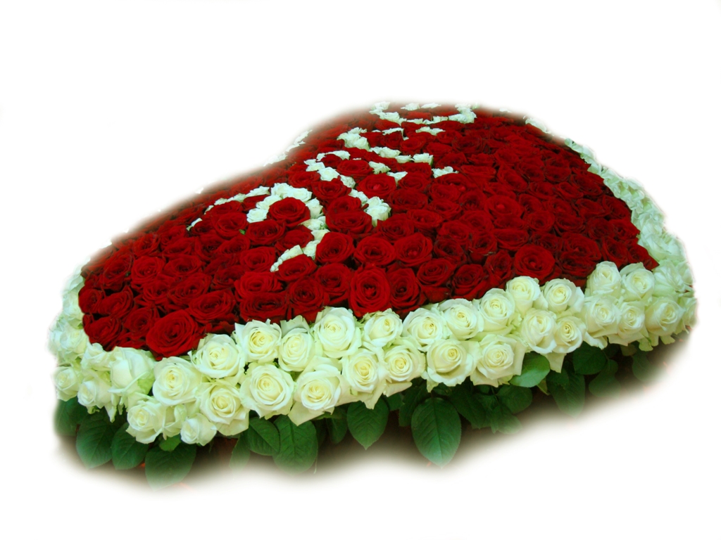 Сердце из 301 розы - Подарок любимой