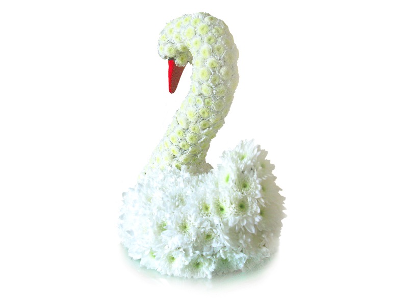 Лебедь из живых цветов - 35 см - Оригинальный подарок на свадьбу